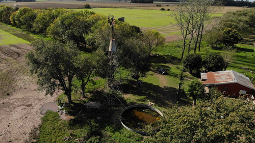 Imagen 16 de 25 de Venta Campo 83,3 Hectareas Agrícolas En Lima