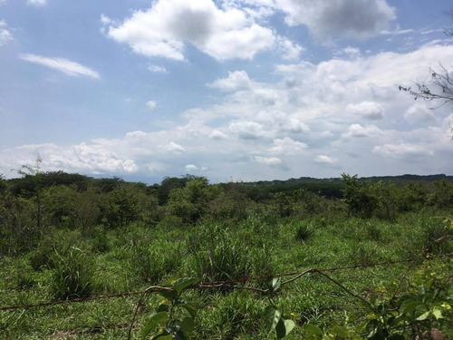 Imagen 11 de 30 de 33 Has Cerca De Altozano El Nuevo Colima