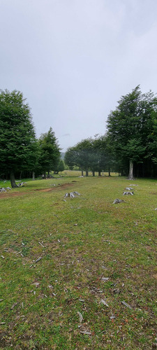 Sector Cerro Galera, Coyhaique (71829)