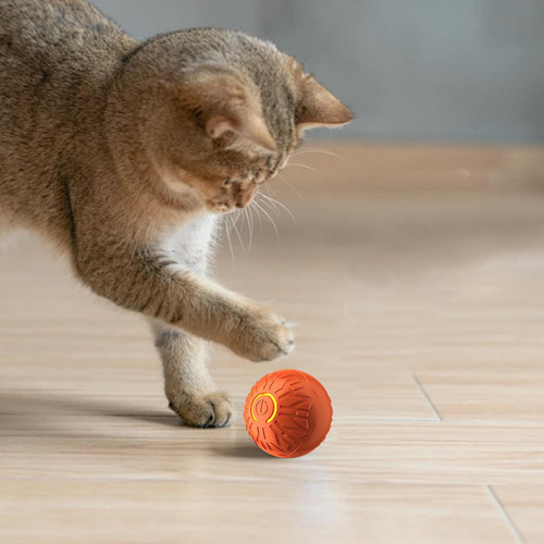 Pelota De Juguete Para Perros En Movimiento Automático Pelot