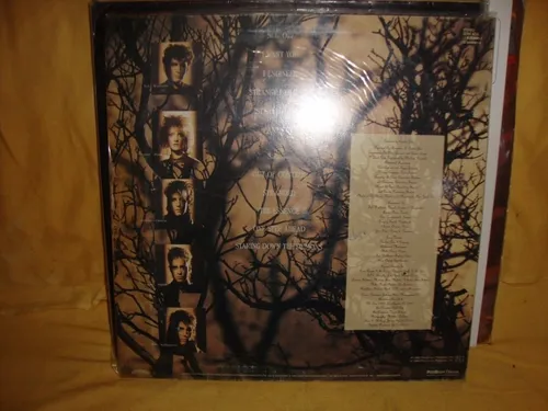 Vinilo Animotion Strange Behavior Bi1 (Usado)