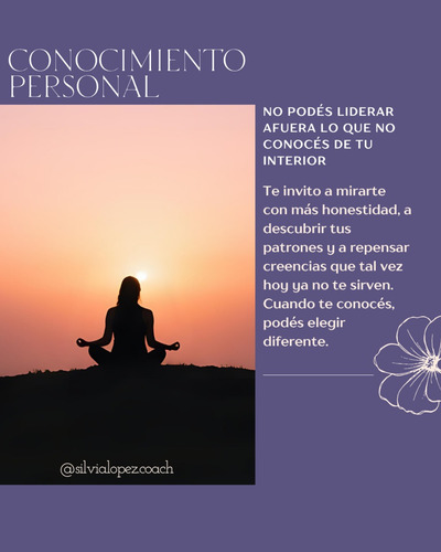 Sesiones De Coaching Ontológico Liderazgo Y Bienestar
