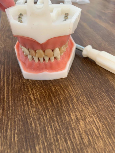 Imagem 5 de 5 de Manequim Odontologico Dental Art