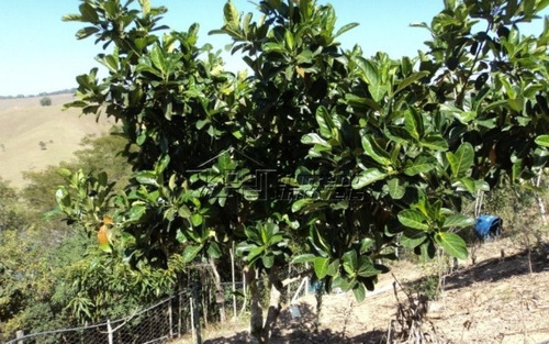 Ótima Chácara Na Região De Jambeiro
