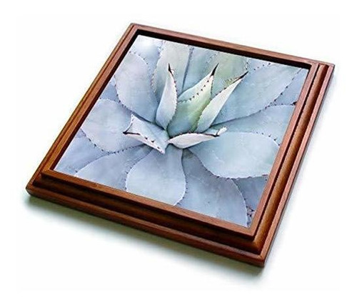 3drose Image Of Beach At Cancún Mexico Trivet, 8 X 8