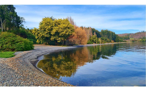 Parcela A Orilla Lago Llanquihue Puerto Octay