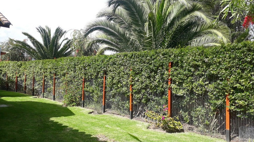 Imagen 4 de 18 de Casa Campestre En Cotacachi Conjunto Privado Muy Seguro!