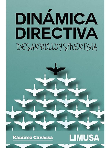 Dinamica Directiva. Desarrollo Y Sinergia