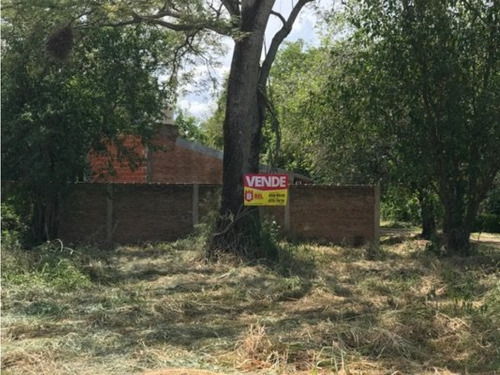 Esquina Arbolada Barrio Los Pinos