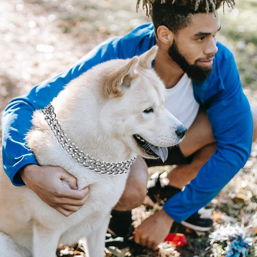 Collar Ajustable De Goma Para Perros Pequeños