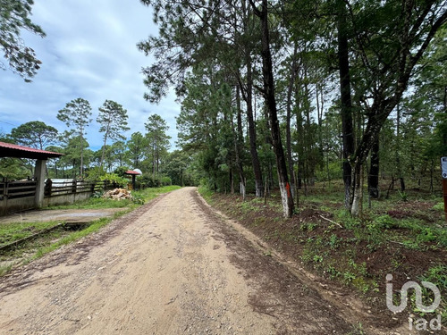 Venta Terreno 0 Ambiente Chijiltec (san Isidro)