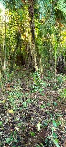 Terreno Para Venda Na Praia No Litoral Sul, Em Itanhaem Direto Com Proprietario