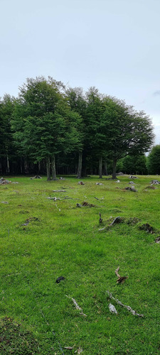 Sector Cerro Galera, Coyhaique (71829)