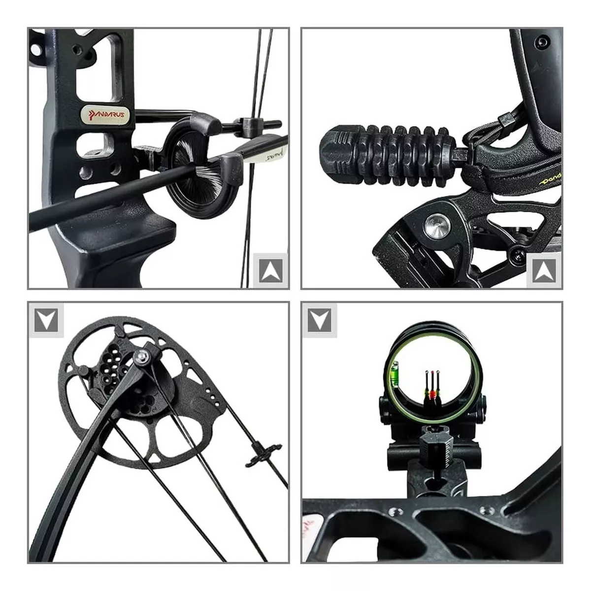 Tercera imagen para búsqueda de hoyt archery