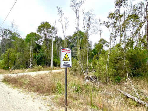Entorno Tranquilo Y Seguro I Condominio Foresta