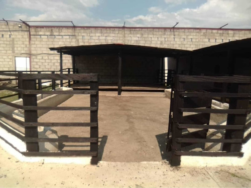 Imagen 5 de 14 de Granja De 45 Hectáreas , Totalmente Planas Vega De Río