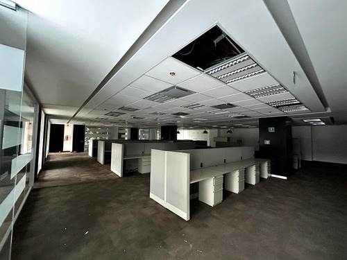 Renta Oficina - Lomas De Chapultepec - Piso 2 - 589 - M2