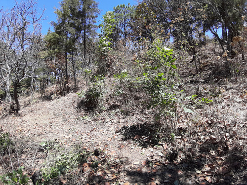 Terreno Con Vista Al Lago A Un Costado De Izar