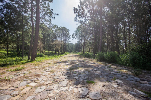 Terreno En Venta En Real De Encinos, Tapalpa, Jalisco.