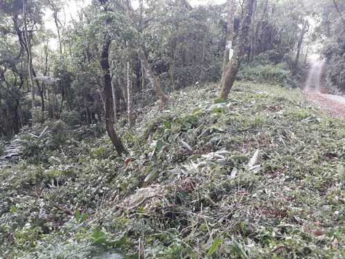 Imagem 7 de 14 de Terreno Bem Localizado - Possibilidade De Permuta Parcial.