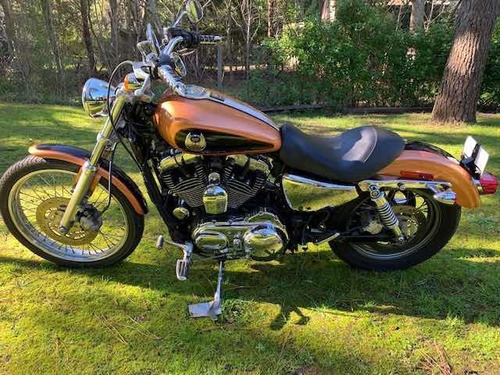 Imagen 2 de 6 de Harley Davidson - Sportster 1200xl 105th Anniversary Edition