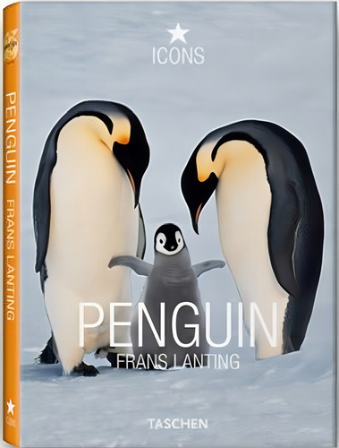 Penguins, de Eckstrom, Christine. Editorial Paisagem Distribuidora de Livros Ltda., capa dura em espanhol, 2008