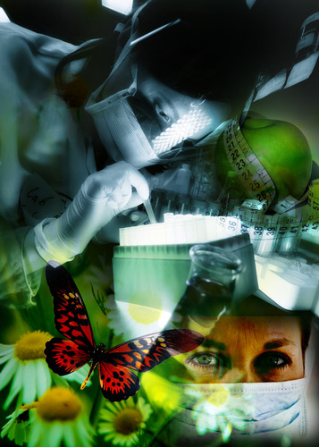 Maior Pack De Imagens Para Design