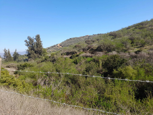 Visite 3 Opciones De Parcelas En Los Laureles (171106)