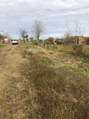 Imagen 2 de 6 de Lote De 20 X 28 En Lezica Y Torrezuri Con Escritura