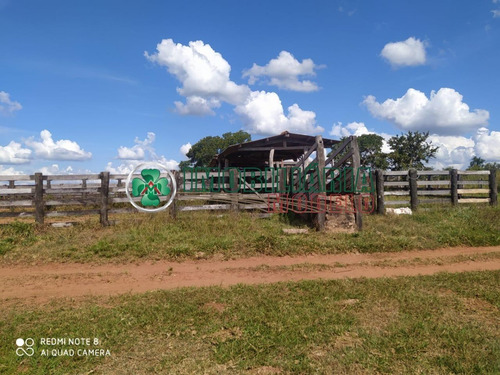 Imagem 7 de 14 de Fazenda Para Venda Em Barra Do Garças - Mt (cód. 192) Fazenda De Pecuária Em Toricueije Para Uso Em Pecuária.