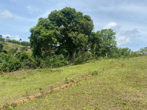 En Venta Terreno 191,000 Metros, Las Guazaras, Samana (caballos)