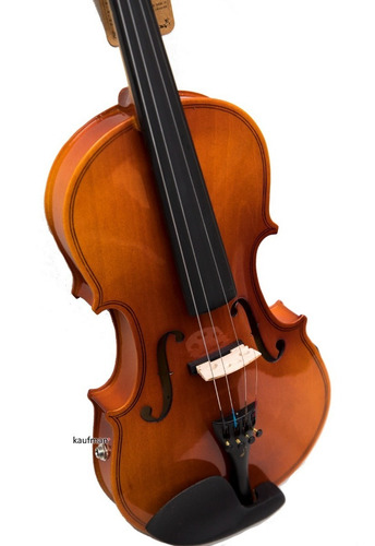 Imagen 9 de 10 de Violín Electroacústico Distele 4/4 Con Estuche Todo Incluido