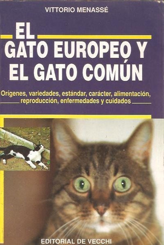 El Gato Europeo Y El Gato Comun Menasse