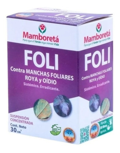 Mamboreta Foli - Morocco Growshops
