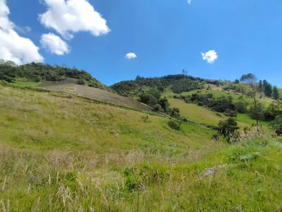 Lote y casalote en venta