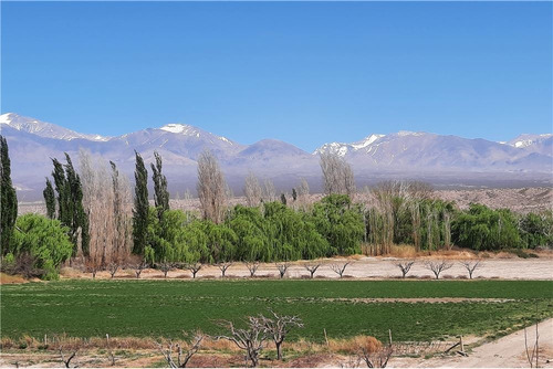 Finca 10 Has Con Casa Sorocayense