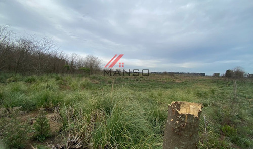 21 Ha En Venta - Marcos Paz (cerca De 20 De Junio)