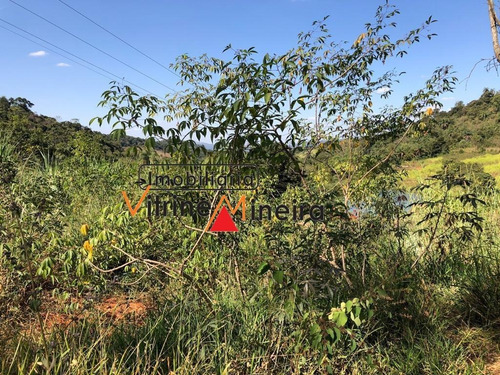 Imagem 3 de 12 de Chácara Para Venda Em Itatiaiuçu, Capão Do Rosa - 70462_2-1184226