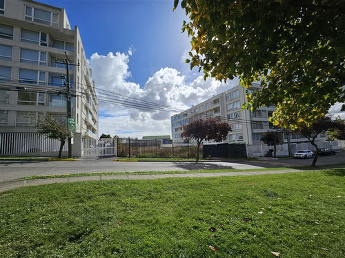Sitio En Arriendo En Concepción