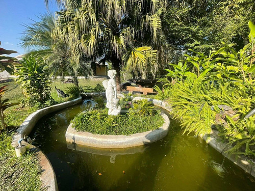 Imagem 5 de 18 de Belíssimo Sitio Com Vista Panorâmica Para A Natureza Em Juquitiba - 266 - 71164304