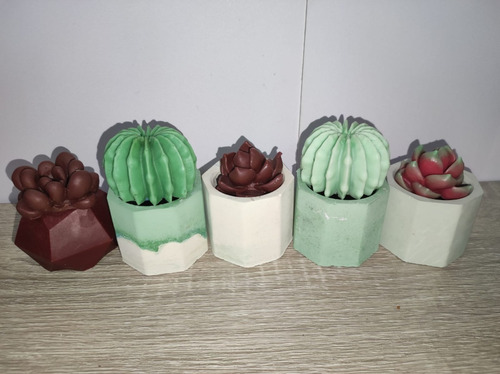 Velas Aromaticas De Suculentas Y Base De Concreto 25 Pz