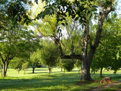 Campo Con Dos Casas , Ideal Emprendimiento Turístico.