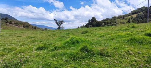 Lote En Venta En La Calera. Cod V16669