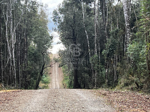 Parcela En Fresia Con Acceso Al Rio Llico