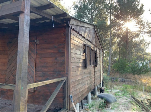 Cabaña De Madera Con Pilares De Hormigón, Entorno Natural