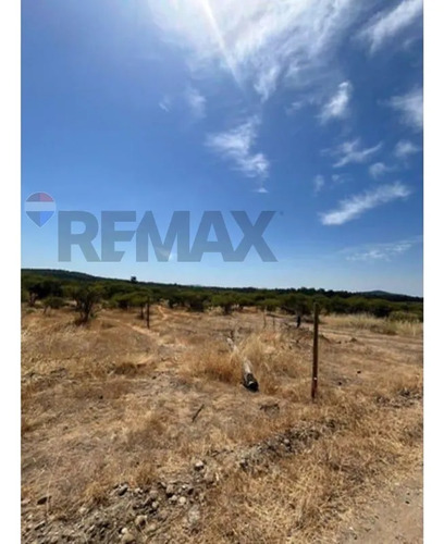 Venta Parcela, Caliboro, Región Del Maule