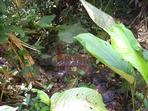 Imagem 5 de 10 de Area - Ref: 4743 - V-4743
