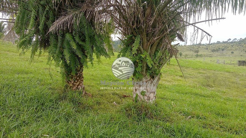 Imagem 8 de 8 de Venda Sítio Ariquemes Em Rondônia - Siv317