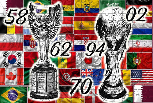 Quebra-cabeça Taça Da Copa Do Mundo É Nossa De 300 Peças