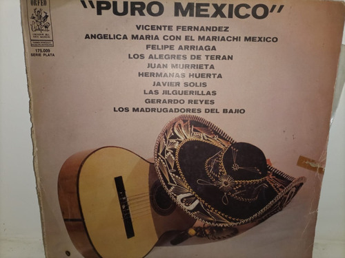 Puro Mexico  